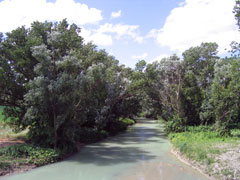 Il fiume Cesano