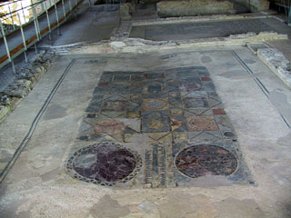 Oecus G