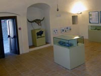 Prima sala:  La valle del Cesano. Aspetti geologici e ambientali
